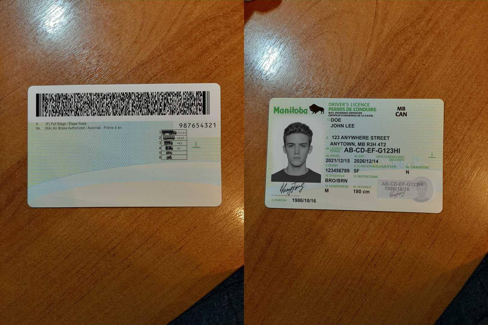 Avatar of Canada Manitoba Driver's License