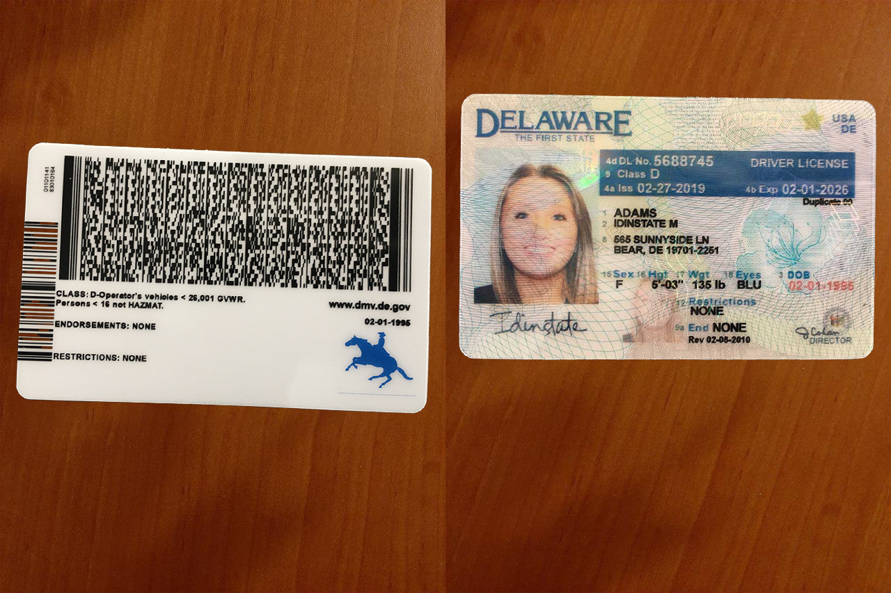 Avatar of USA Delaware Driver License
